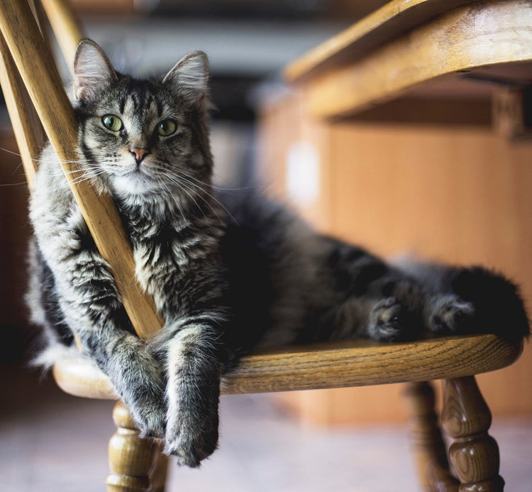 Exkluzívne bytové doplnky